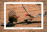viaggio 30 giorni tra Sudafrica Namibia Botswana