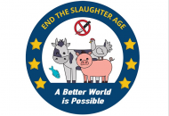 ICE End The Slaughter Age