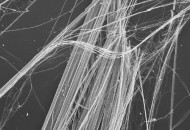 Amianto nelle scuole: scontro sull’ordinanza di Latina